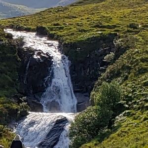 Meet your Posher, Tanisha